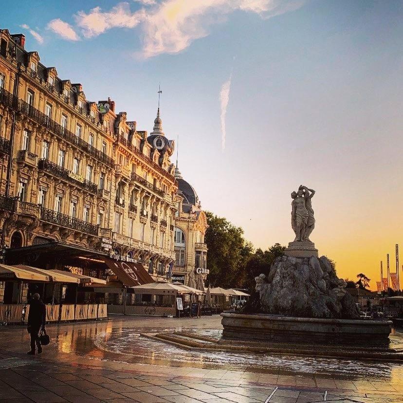 Le Cocon Montpellierain By Smartappart Montpellierain - Jardin Proche Corum 外观 照片